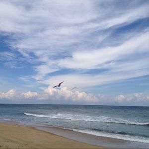 Meet your Posher, Sheri